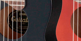 GL1 Closeup