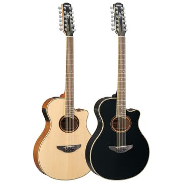 12 string semi acoustic guitar
