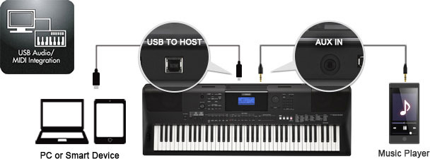 MIDI and Audio Connectivity