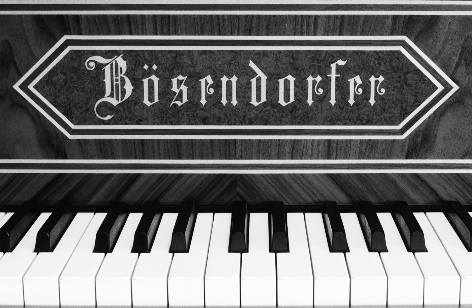 Black and white photo of a fall lid of a Bösendorfer piano