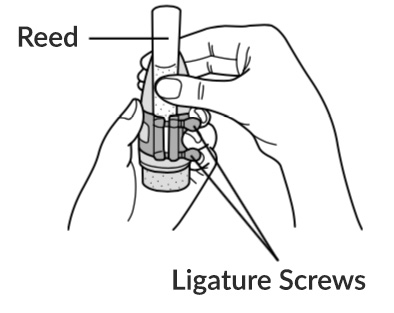 The mouthpiece