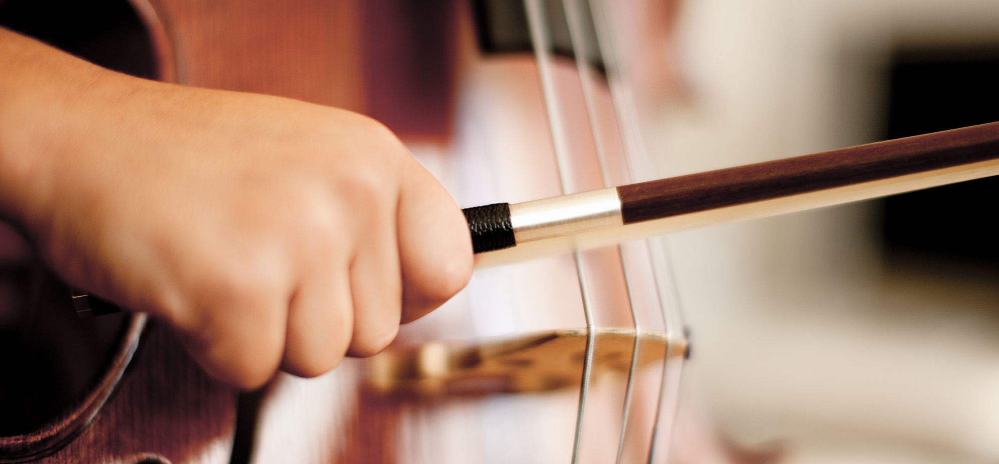 Make Strings Your Thing The Cello Part 3 The Yamaha Cello Range