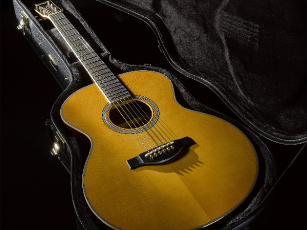 Acoustic Guitars