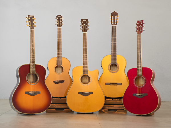 TransAcoustic Guitars