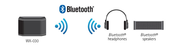 WX-030 & Bluetooth