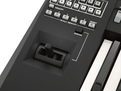 Photo of the PSR-A3000's Performance Joystick