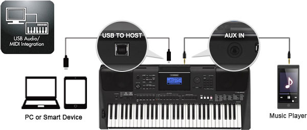 Audio and MIDI connectivity