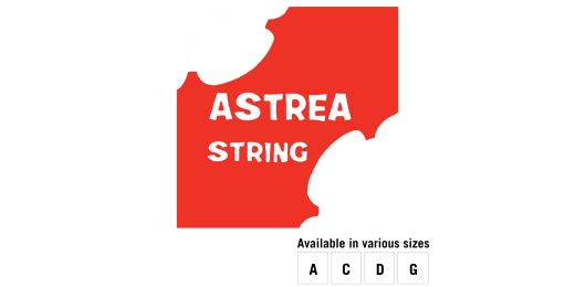 Strings