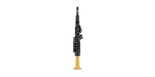 Digital Saxophone