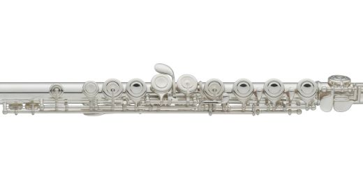 Student & Beginner Flutes