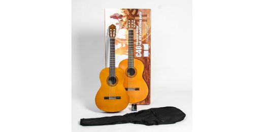 Guitars for Beginners