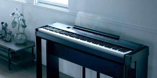 Portable Digital Pianos