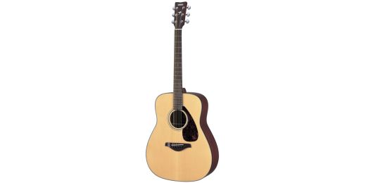 FG-Series Acoustic Guitars