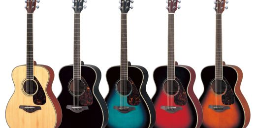 Acoustic Guitars